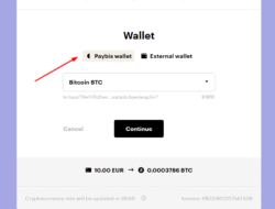 Paybis wallet app your gateway to seamless transactions