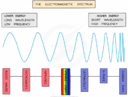 Spectrum Streaming Prices Unveil Unbeatable Value