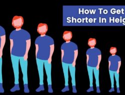 Short term rental pricing tools that maximize profits