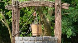 11 Examples of Pulley - [Explained with Pictures] - Engineering Learn