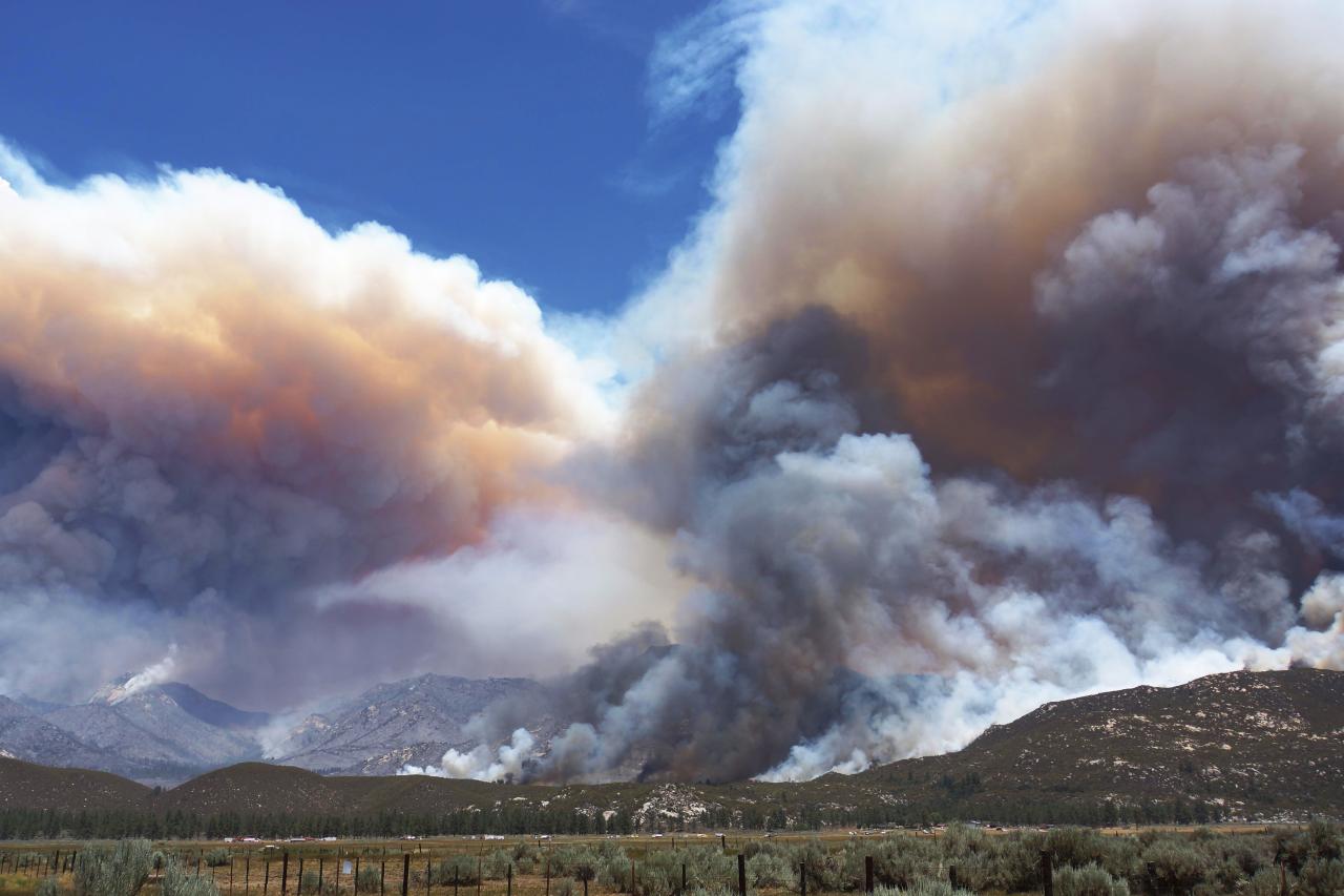 Solitary dog sculptor: NASA: USA - California - Mountain Fire - It is ...