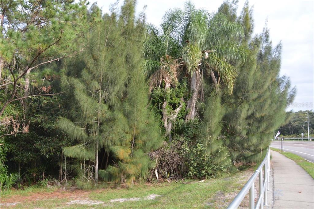 60% OFF SUNDAY IN CASSELBERRY in Casselberry, FL starts on 8/23/2024 60% OFF SUNDAY IN CASSELBERRY in Casselberry, FL starts on 8/23/2024