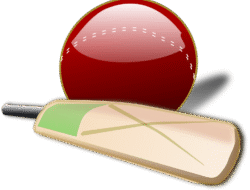 cricket live match stream – Experience the Thrill
