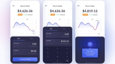 What are Crypto Wallets?