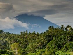Costa Rica Travel Agent Near Me For Your Adventure