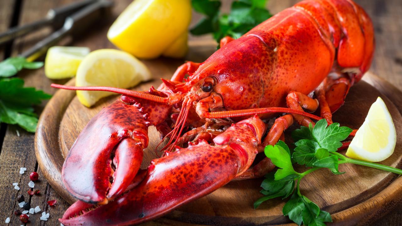False Facts About Lobster You Believed False Facts About Lobster You Believed
