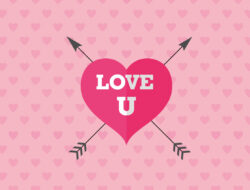 Love Tour Curls Discover The Beauty Of Your Hair
