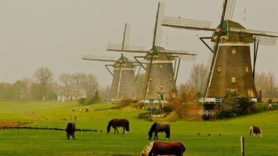 Trafalgar Tours Coupon Code Unlocks Amazing Adventures