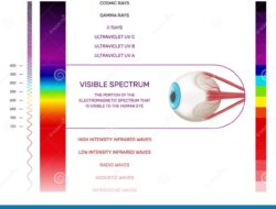 Spectrum Streaming Package Price Made Simple For You